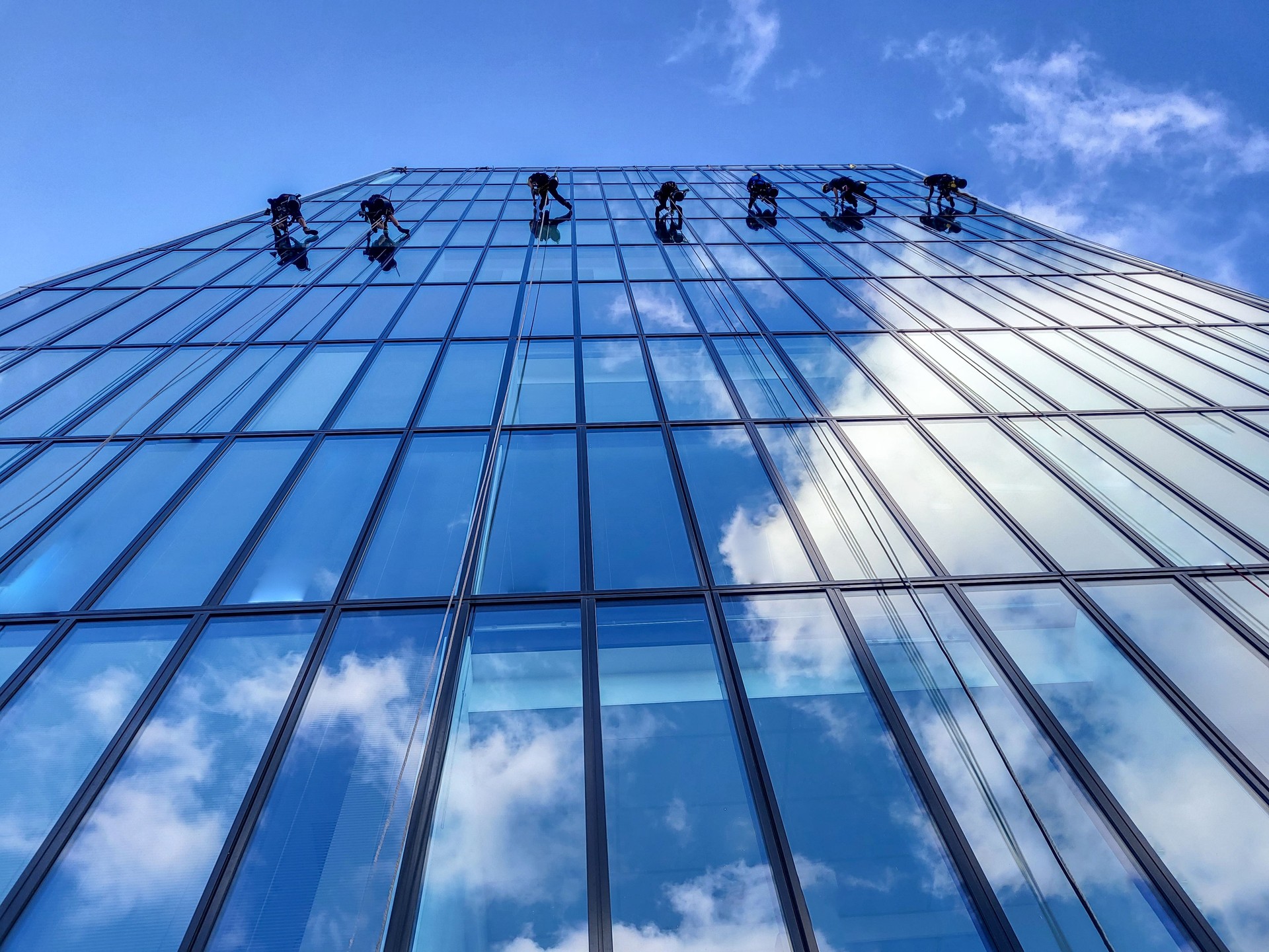 Team of rope access technicians—climbers cleaning a skyscraper. Nice weather, sky reflecting in the building and hanging high up.