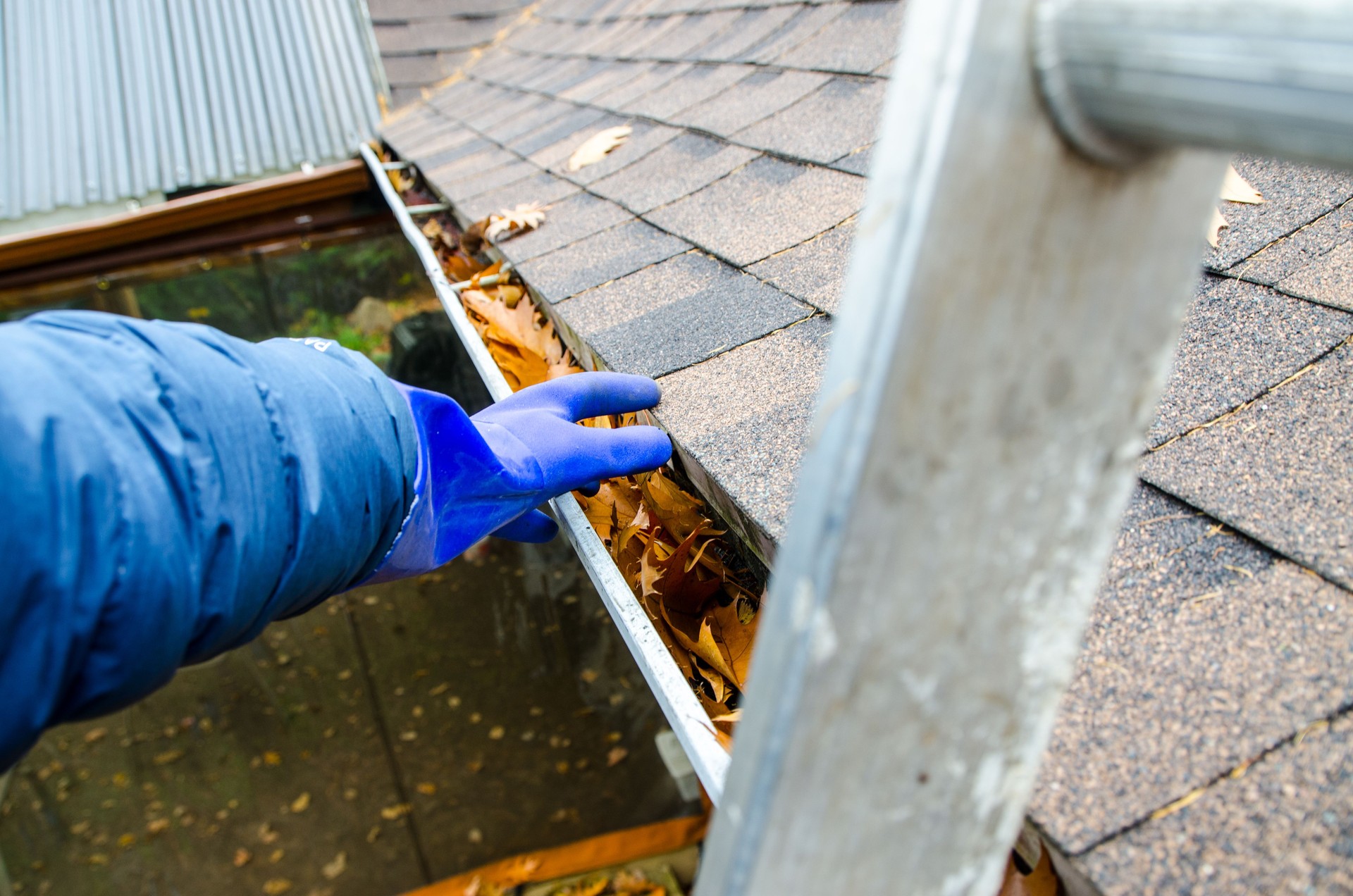 Hand with glove removing autumn leaves from gutter